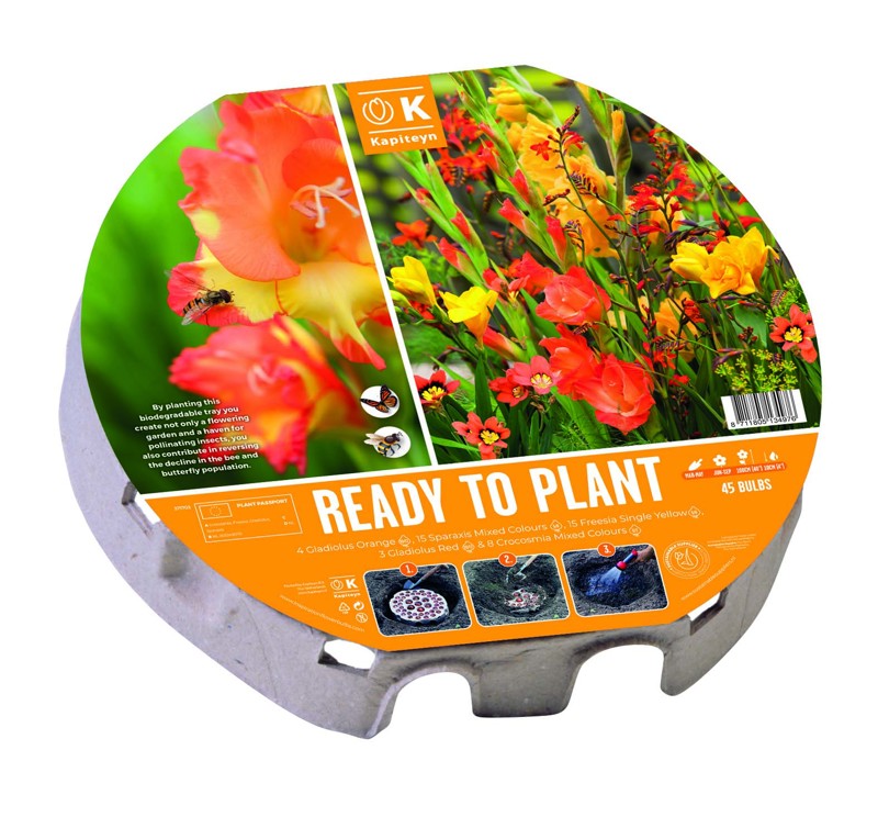 PLANT-O-MAT TRAY XL 38CM WILD BLOOMS