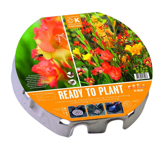 PLANT-O-MAT TRAY XL 38CM WILD BLOOMS