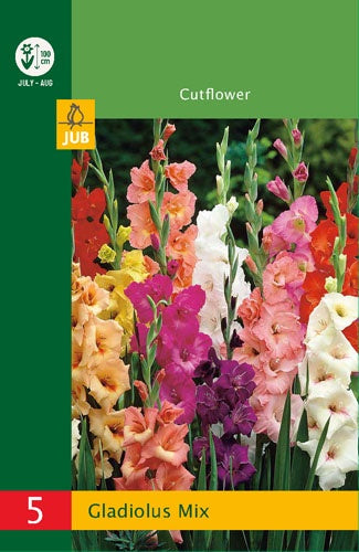 5 Gladiolus Mix