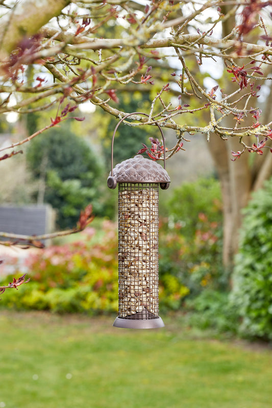 26cm Acorn Peanut Feeder-Easy Garden Centre