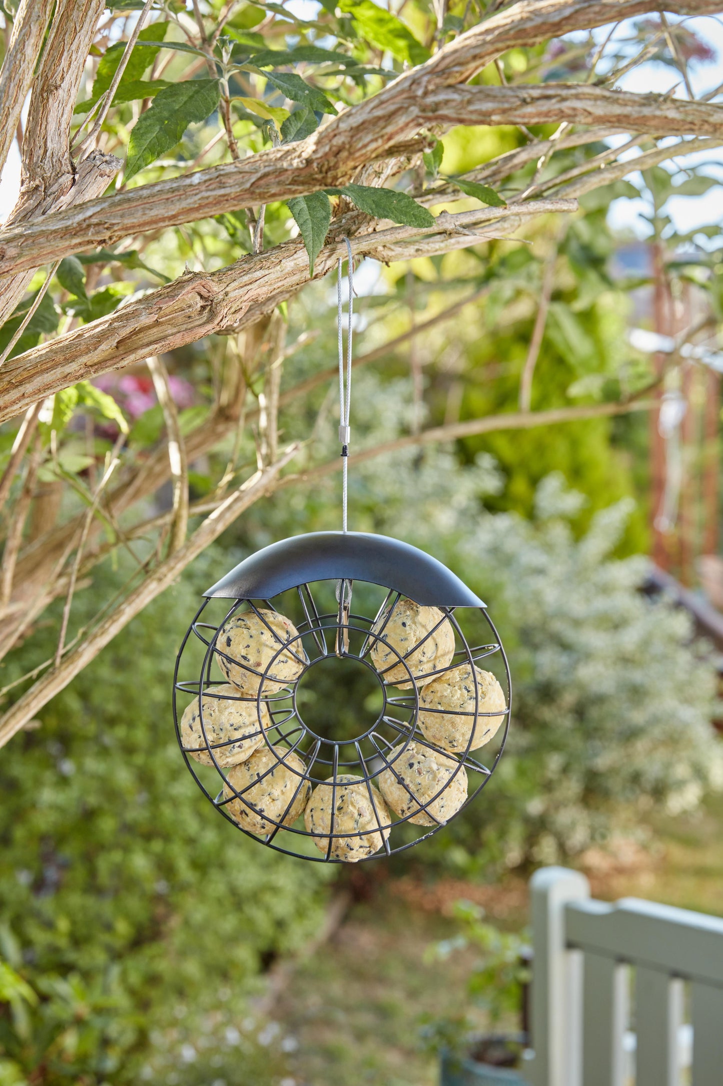 Ring Suet Ball Feeder-Easy Garden Centre