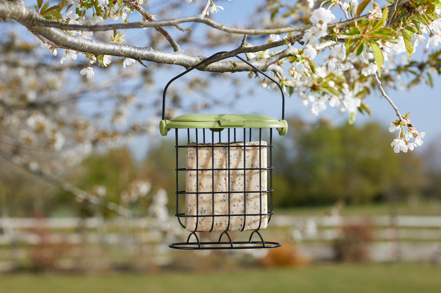 Suet Cake Feeder-Easy Garden Centre