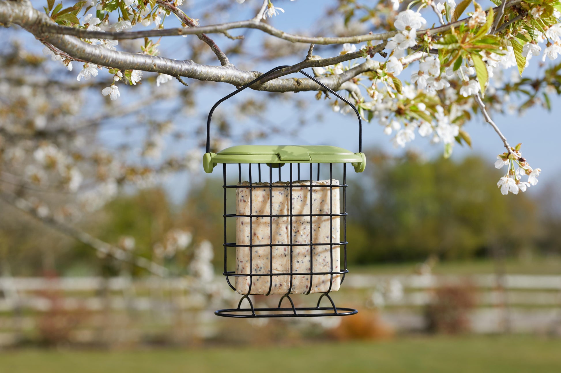 Suet Cake Feeder-Easy Garden Centre