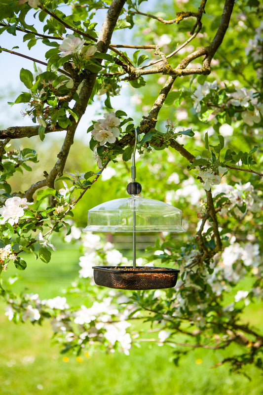 Mealworm & Suet Feeder-Easy Garden Centre