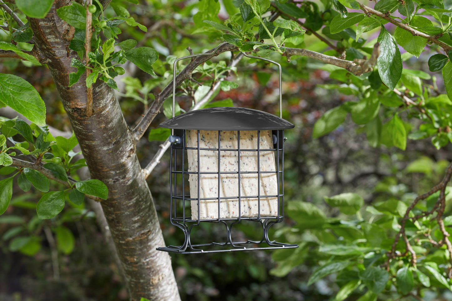 Supreme Suet Cake Feeder-Easy Garden Centre