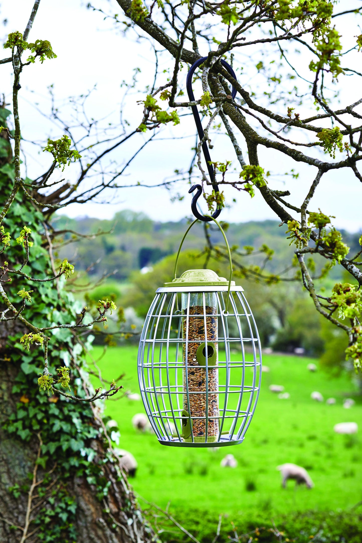 Ultra Squirrel Proof Seed Feeder-Easy Garden Centre