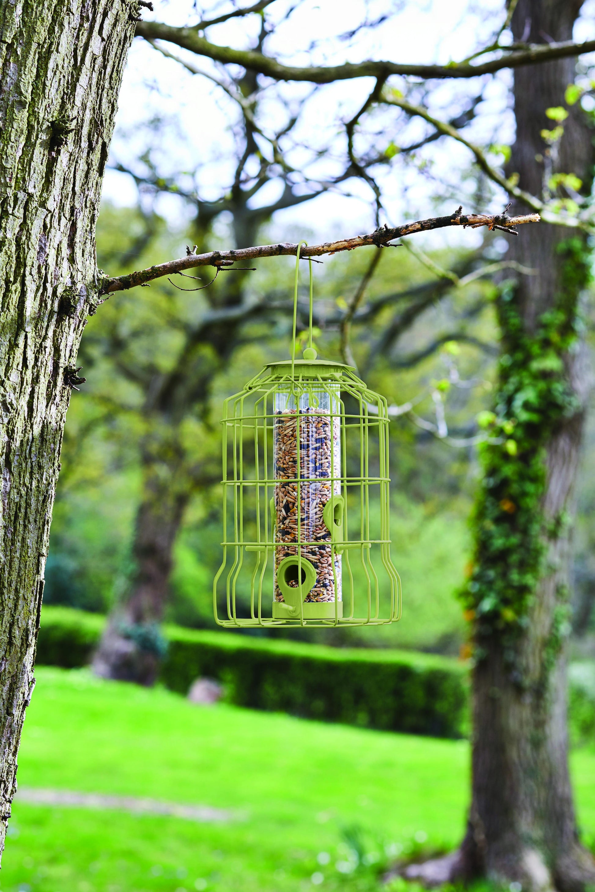 Original Squirrel Proof Seed Feeder-Easy Garden Centre
