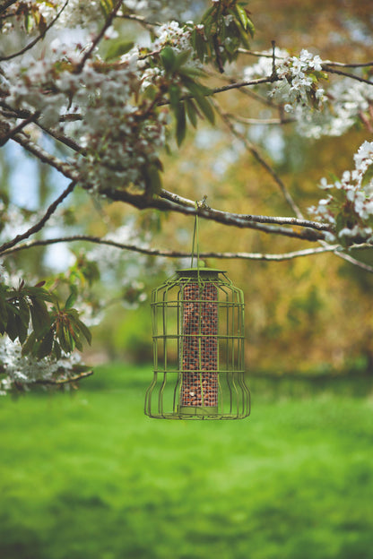 Original Squirrel Proof Peanut Feeder-Easy Garden Centre