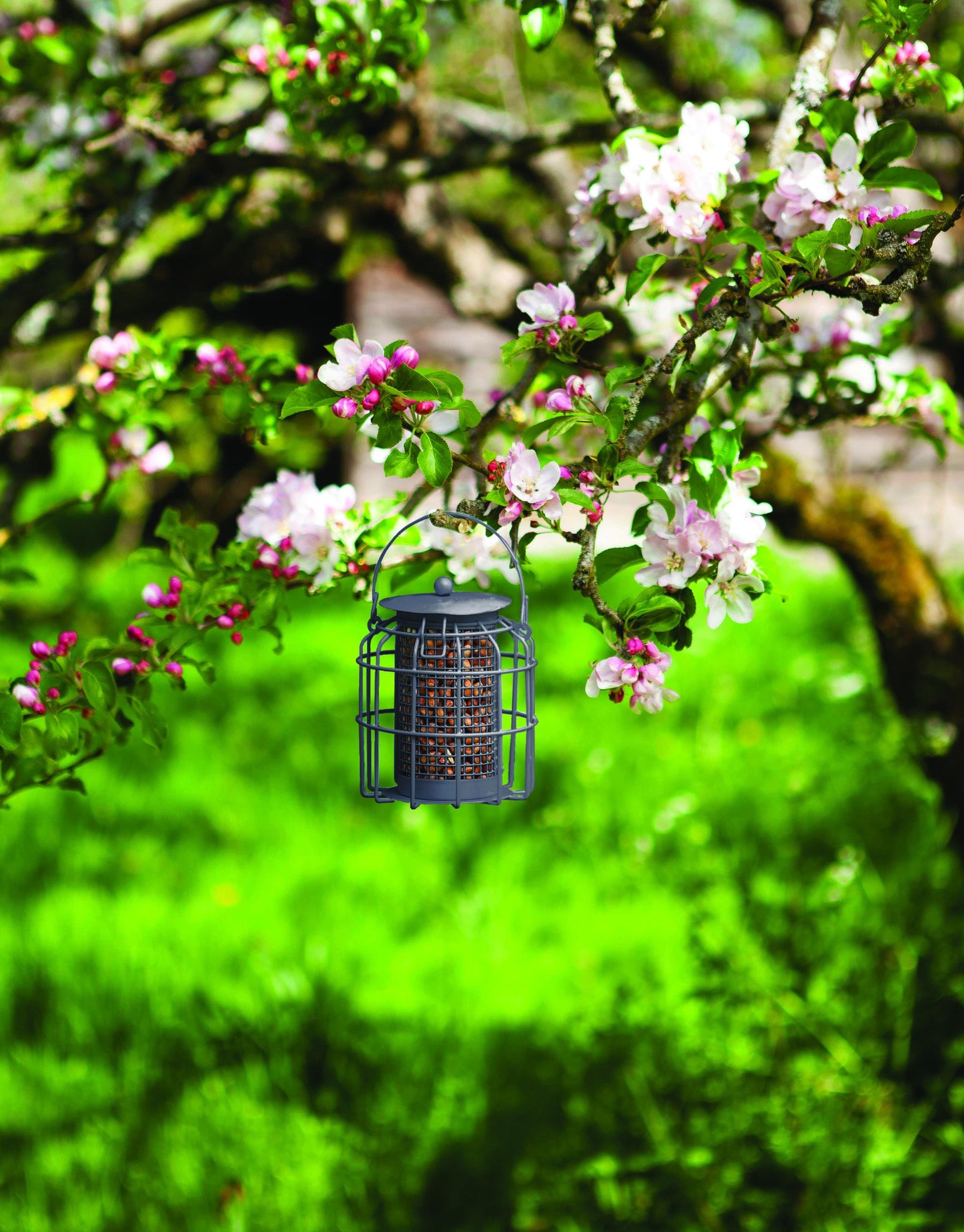 Compact Peanut Feeder POS 16-Easy Garden Centre