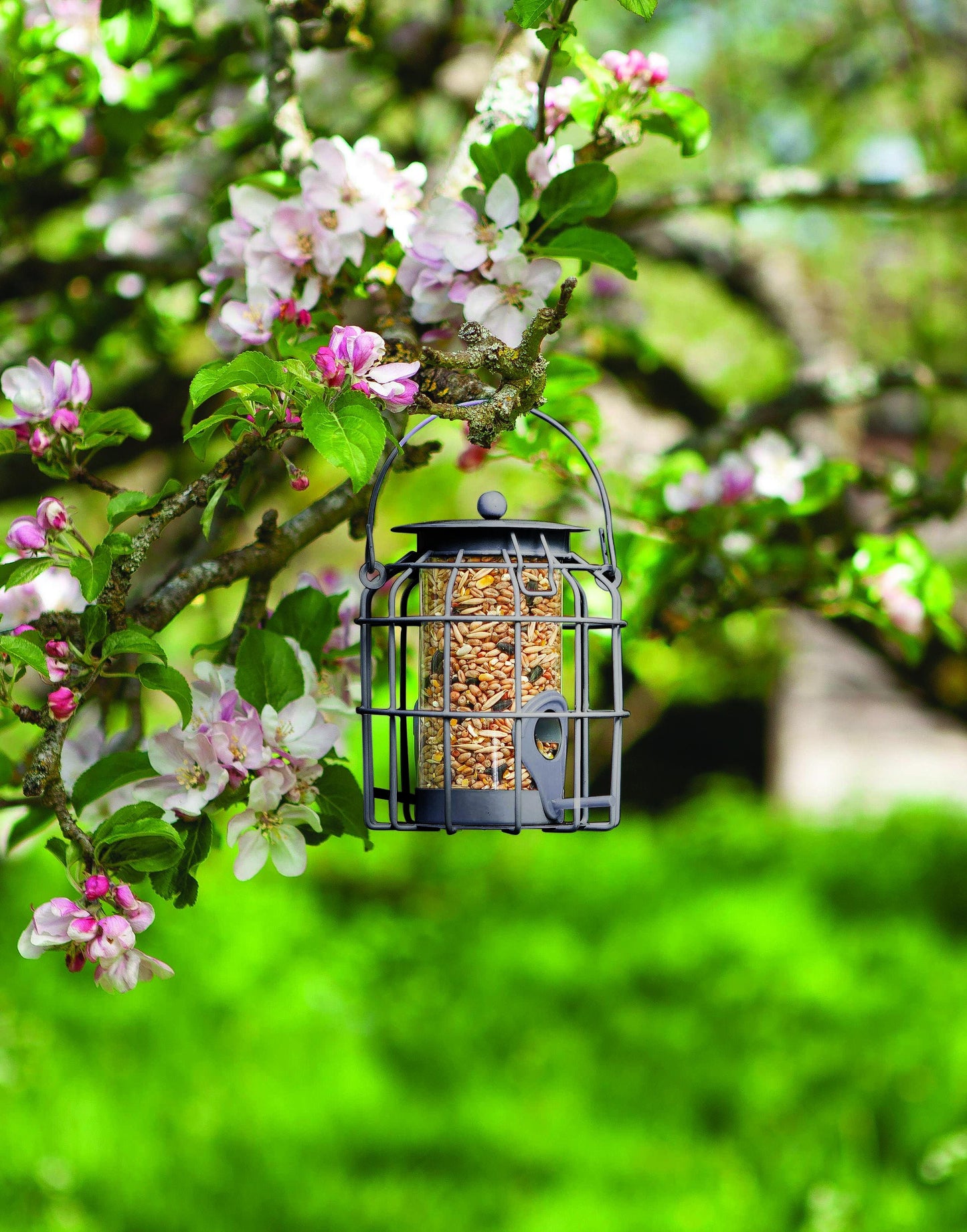Compact Seed Feeder POS 16-Easy Garden Centre
