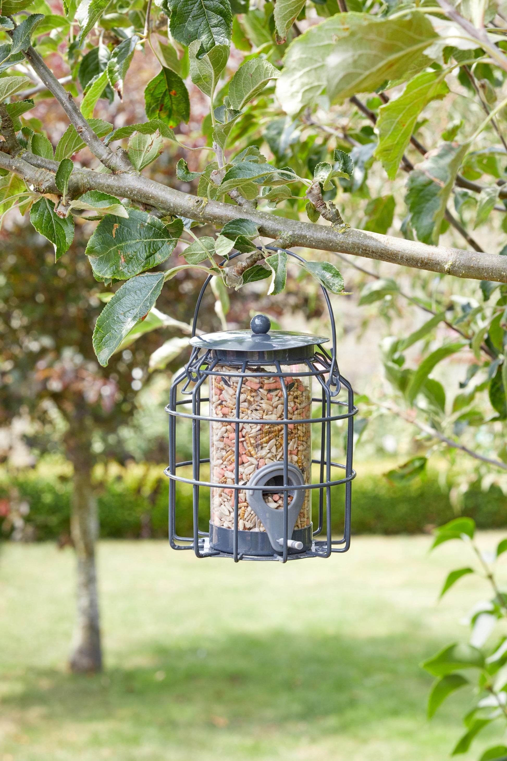 Compact Seed Feeder POS 16-Easy Garden Centre