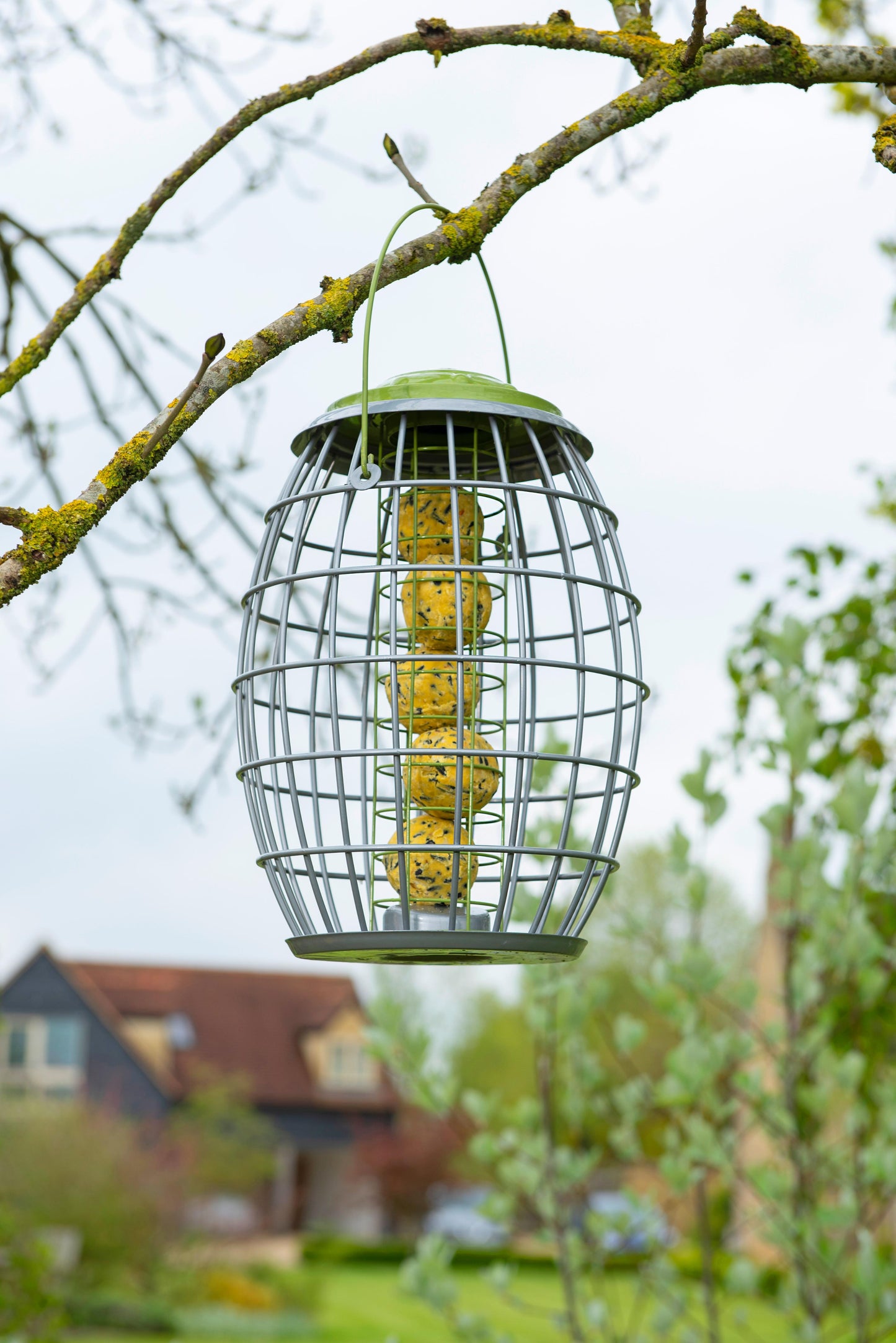 Ultra Squirrel Proof Suet Ball Feeder-Easy Garden Centre