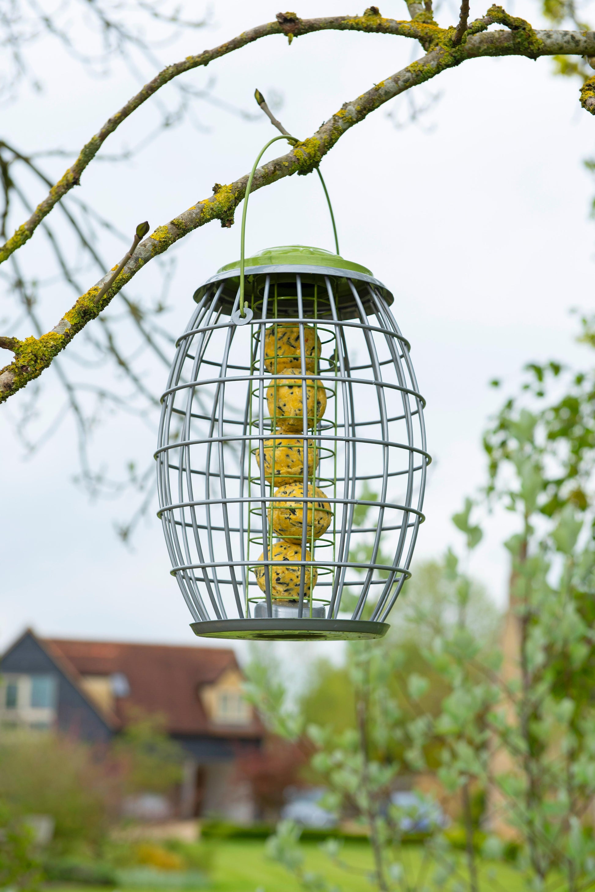 Ultra Squirrel Proof Suet Ball Feeder-Easy Garden Centre