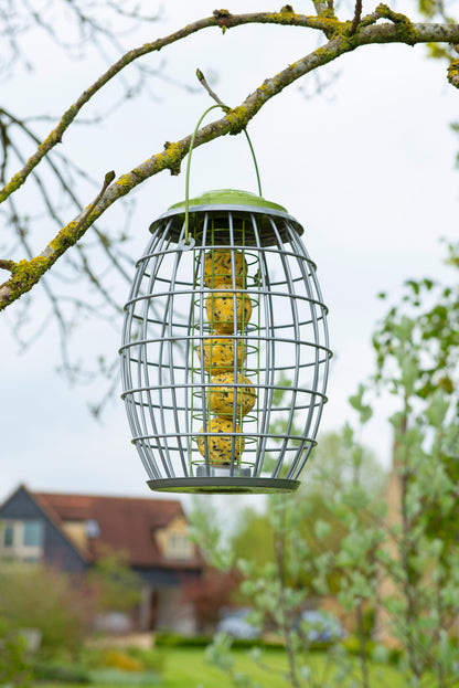 Ultra Squirrel Proof Suet Ball Feeder-Easy Garden Centre