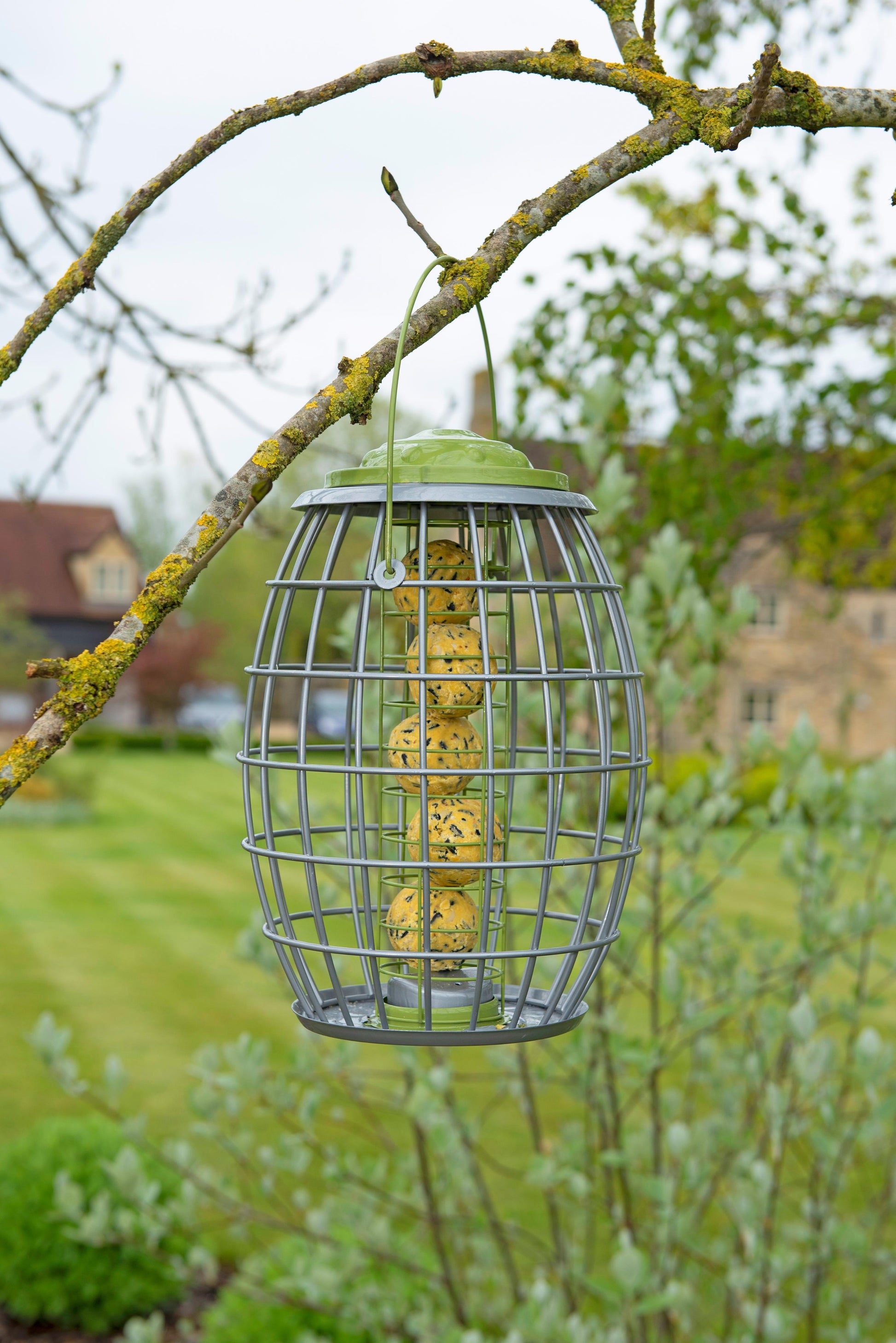 Ultra Squirrel Proof Suet Ball Feeder-Easy Garden Centre