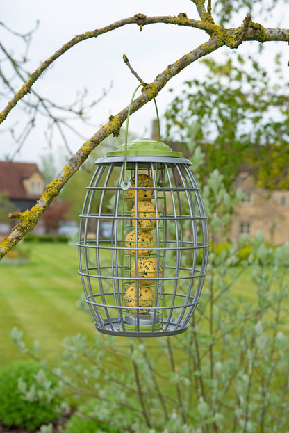 Ultra Squirrel Proof Suet Ball Feeder-Easy Garden Centre