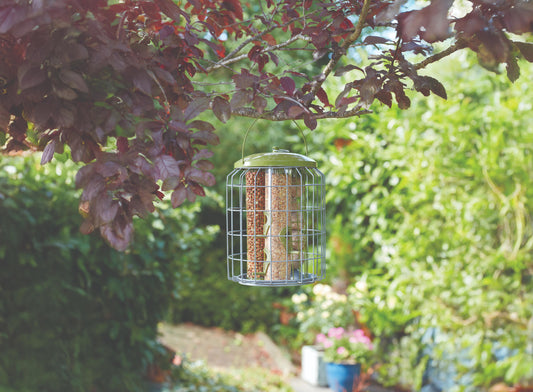3-in-1 Squirrel Proof Feeder-Easy Garden Centre