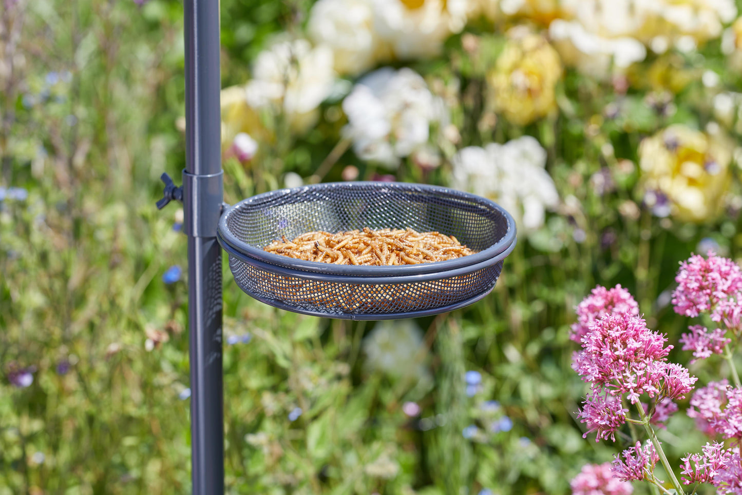 Complete Wild Wings Feeding Station-Easy Garden Centre