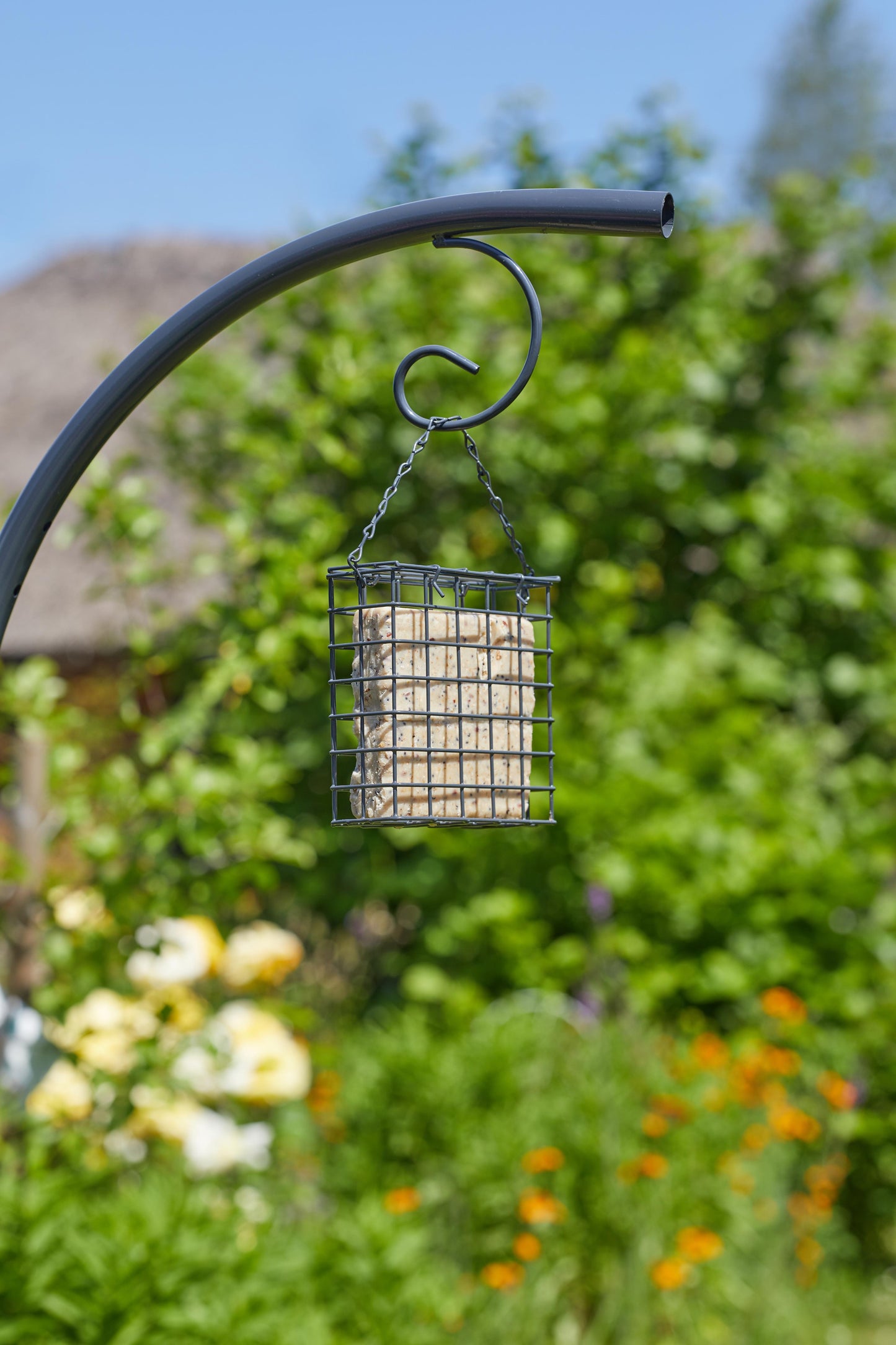 Complete Wild Wings Feeding Station-Easy Garden Centre