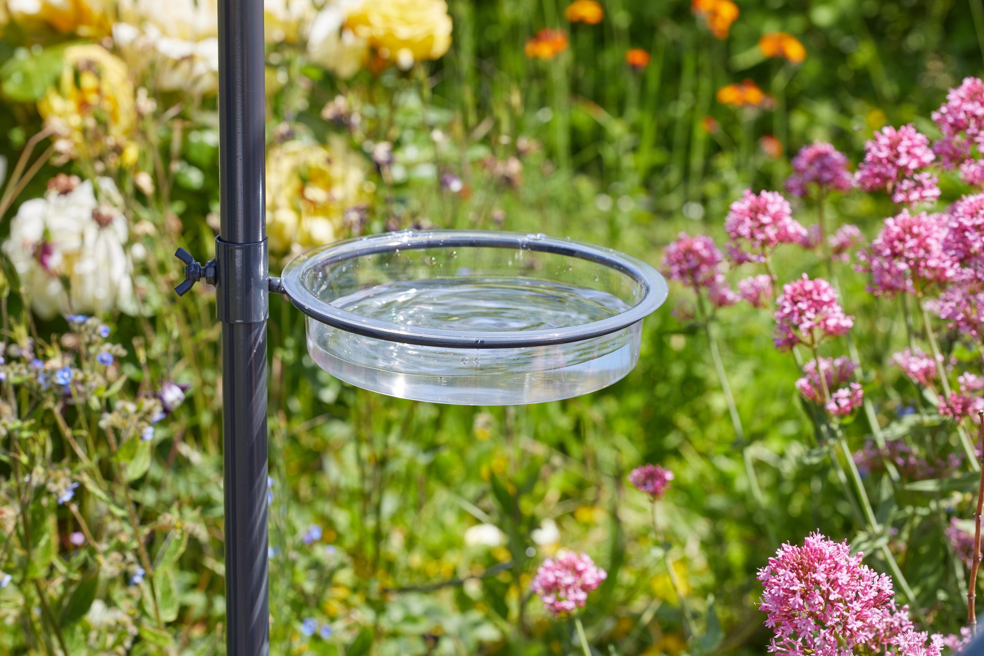 Complete Wild Wings Feeding Station-Easy Garden Centre