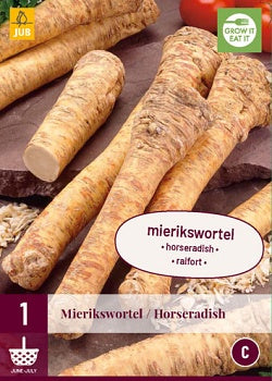 1 Armoracia Horseradish