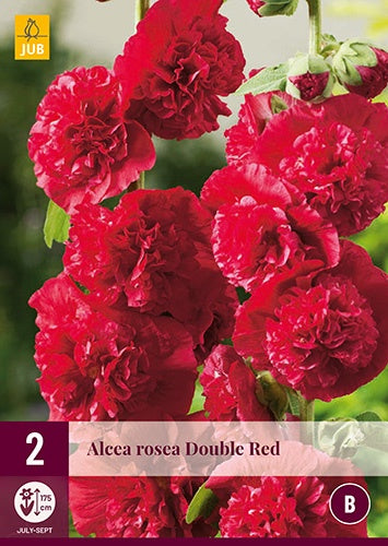 2 ALCEA ROSEA RED