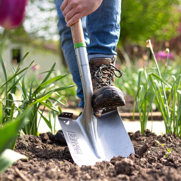 AMES Pointed Shovel D Handle- Carbon Steel-Easy Garden Centre