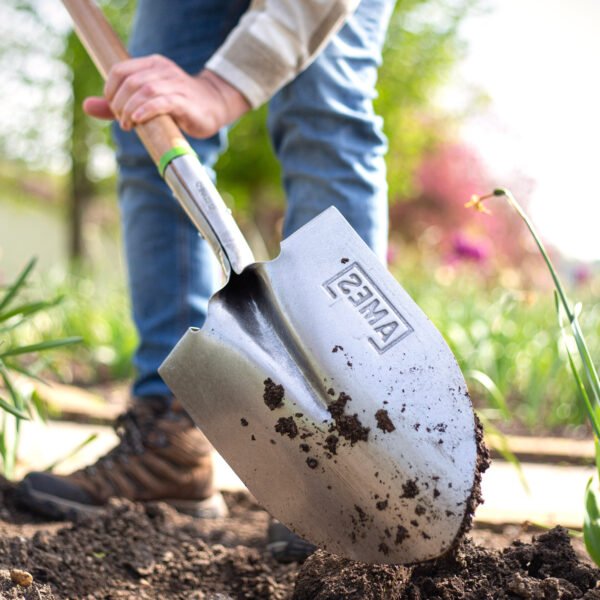 AMES Pointed Shovel D Handle- Carbon Steel-Easy Garden Centre
