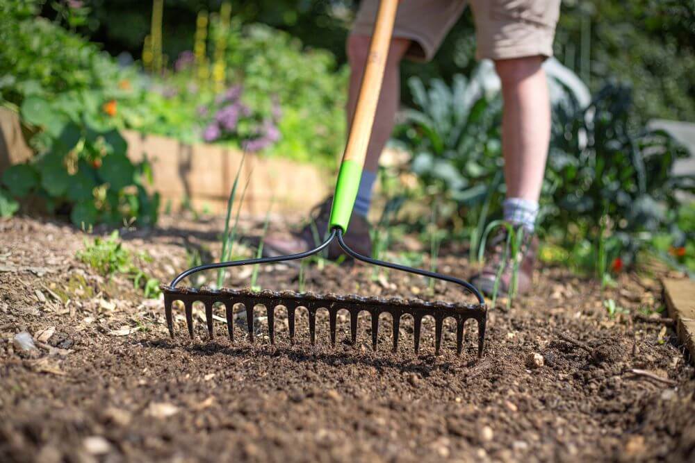 AMES Double Sided Soil Rake - Carbon Steel-Easy Garden Centre