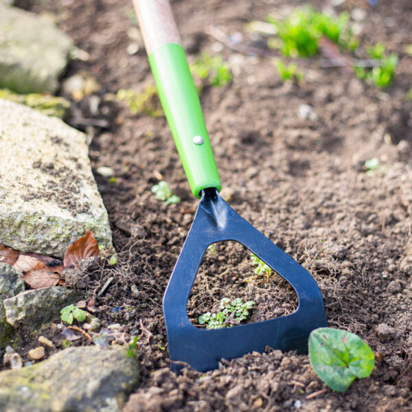 AMES Dutch Hoe - Carbon Steel-Easy Garden Centre