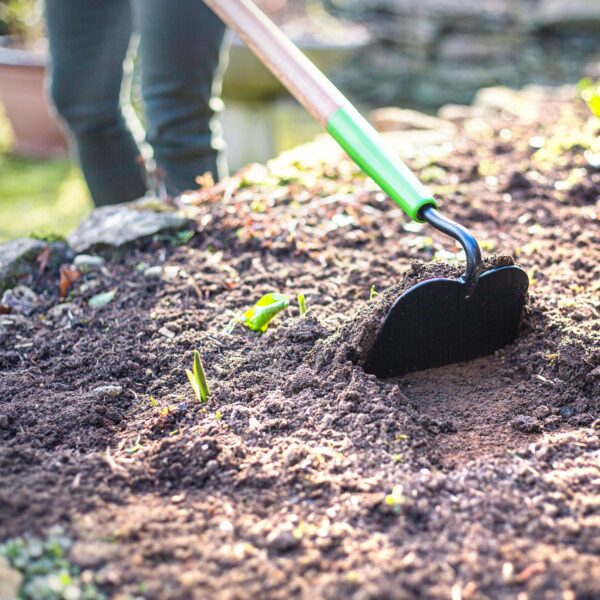 AMES Draw Hoe - Carbon Steel-Easy Garden Centre