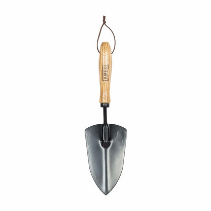 AMES Hand Trowel - Carbon Steel-Easy Garden Centre