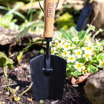 AMES Hand Trowel - Carbon Steel-Easy Garden Centre