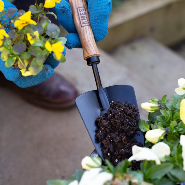 AMES Hand Trowel - Carbon Steel-Easy Garden Centre