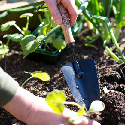 AMES Hand Trowel - Carbon Steel-Easy Garden Centre