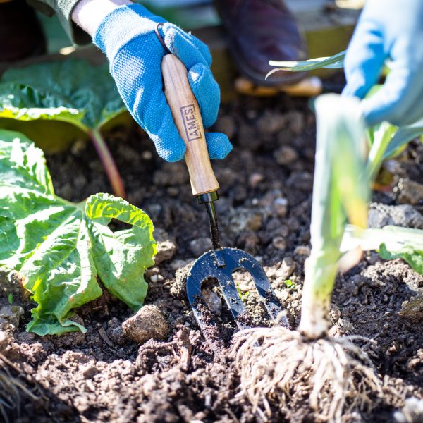 AMES Hand Fork - Carbon Steel-Easy Garden Centre