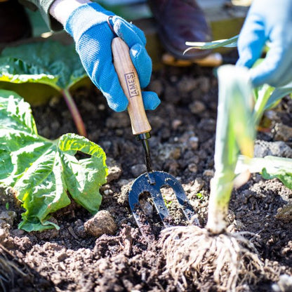 AMES Hand Fork - Carbon Steel-Easy Garden Centre