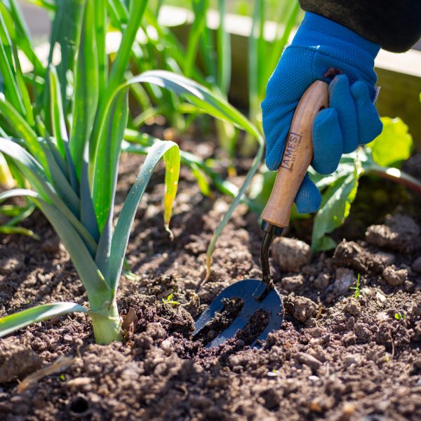 AMES Hand Fork - Carbon Steel-Easy Garden Centre