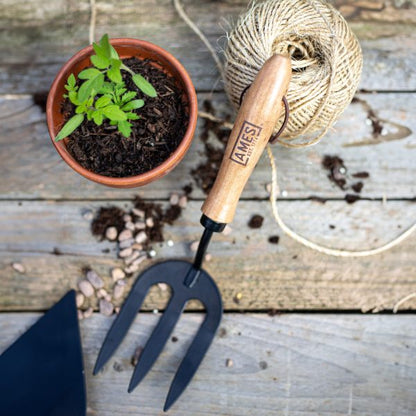 AMES Hand Fork - Carbon Steel-Easy Garden Centre