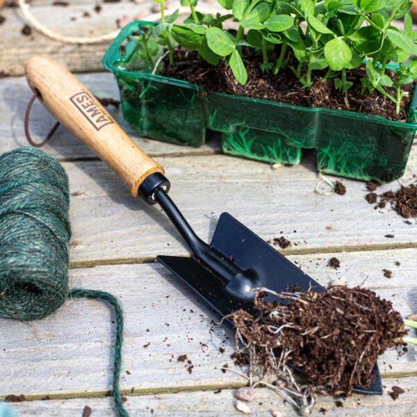 AMES Hand Transplanter- Carbon Steel-Easy Garden Centre