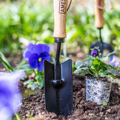 AMES Hand Transplanter- Carbon Steel-Easy Garden Centre
