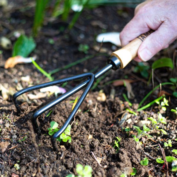 AMES Hand 3 Prong Cultivator - Carbon Steel-Easy Garden Centre