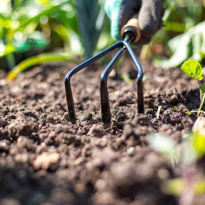 AMES Hand 3 Prong Cultivator - Carbon Steel-Easy Garden Centre