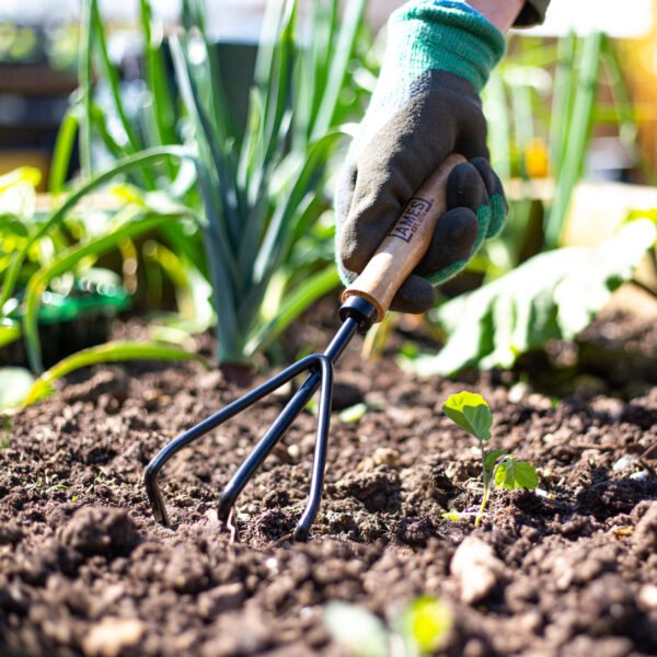 AMES Hand 3 Prong Cultivator - Carbon Steel-Easy Garden Centre