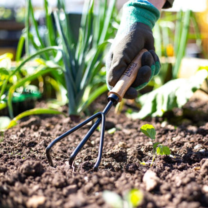 AMES Hand 3 Prong Cultivator - Carbon Steel-Easy Garden Centre