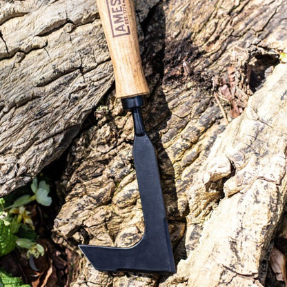 AMES Hand Patio Weeder - Carbon Steel-Easy Garden Centre