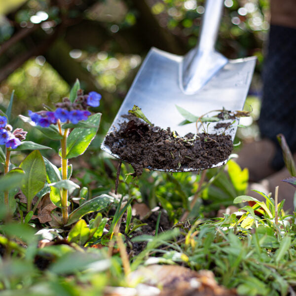 AMES STAINLESS STEEL BORDER SPADE-Easy Garden Centre