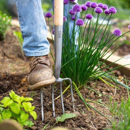 AMES STAINLESS STEEL BORDER FORK-Easy Garden Centre