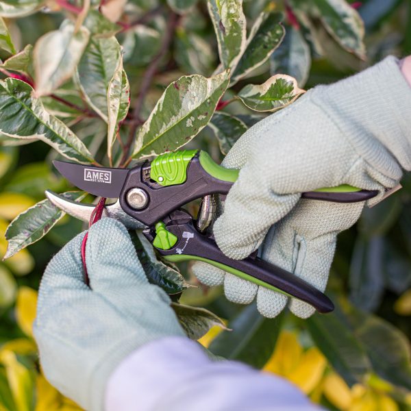 AMES Multi-Function Bypass Pruner-Easy Garden Centre