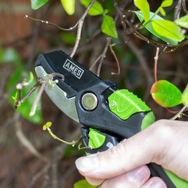 AMES Multi-Function Anvil Pruner-Easy Garden Centre